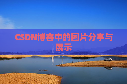 CSDN博客中的图片分享与展示